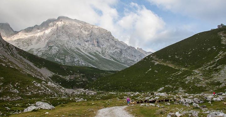 14537272432 4cfb8db8e1 o