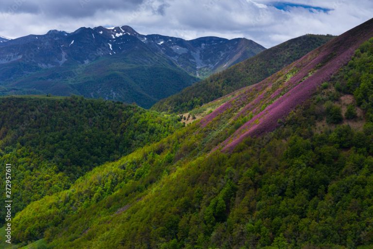 Fuentes del Narcea 768x512