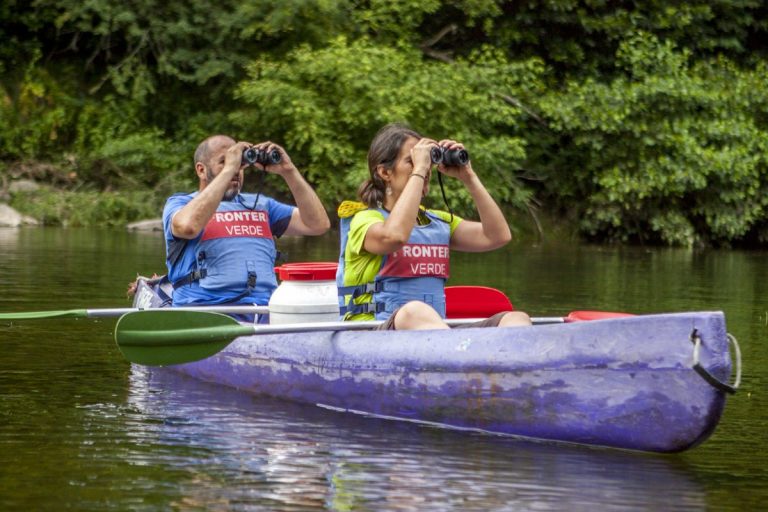 birdwatch asturias 106 4 zoom1 768x512