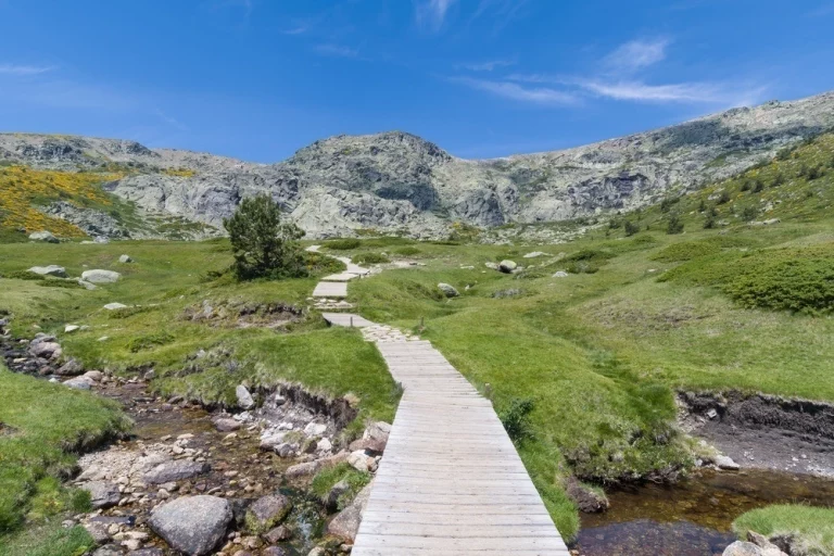guadarrama.jpg1 768x512